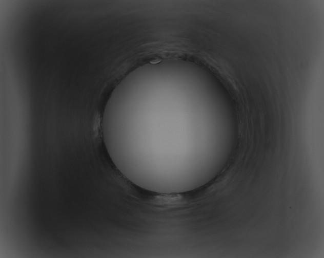 X0000100900480200806241034
