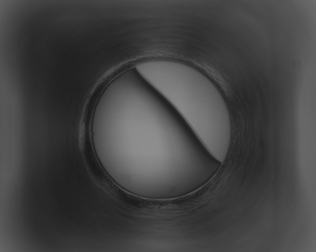 X0000100900488200806241033