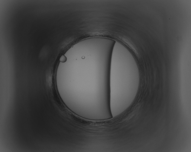X0000100900491200806241033