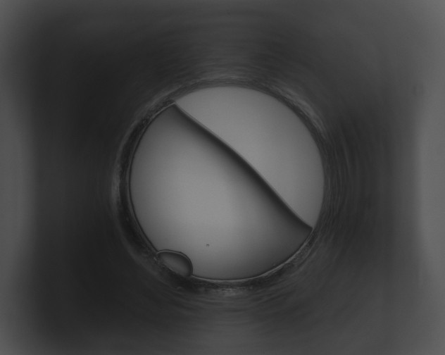X0000100900492200806241033