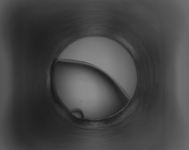 X0000100900493200806241033