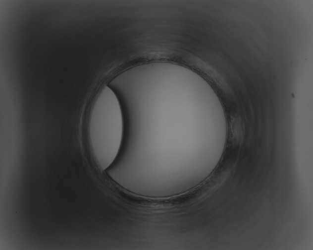 X0000100900494200806241033