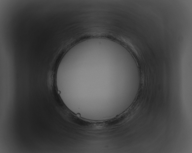 X0000100900495200806241033