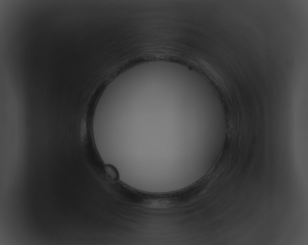 X0000100900500200806241033