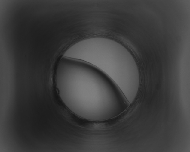 X0000100900501200806241033