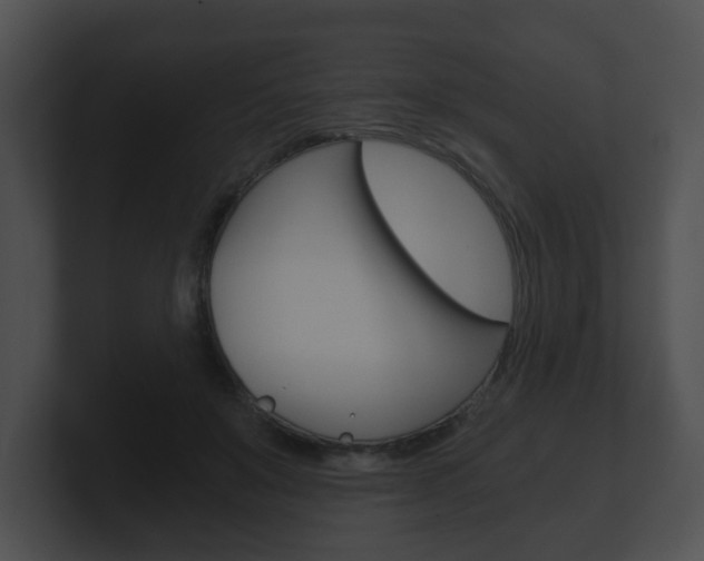 X0000100900503200806241033