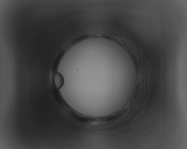 X0000100900504200806241033