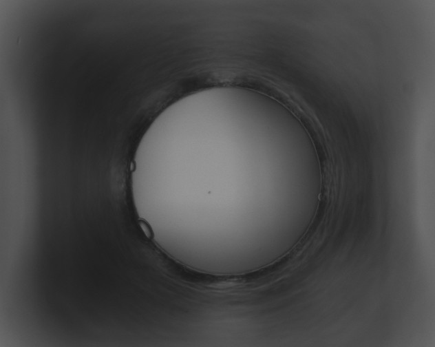 X0000100900505200806241033