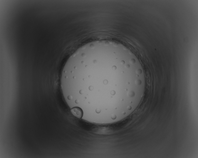 X0000100900507200806241033