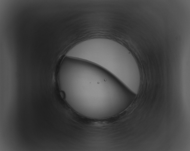 X0000100900508200806241033