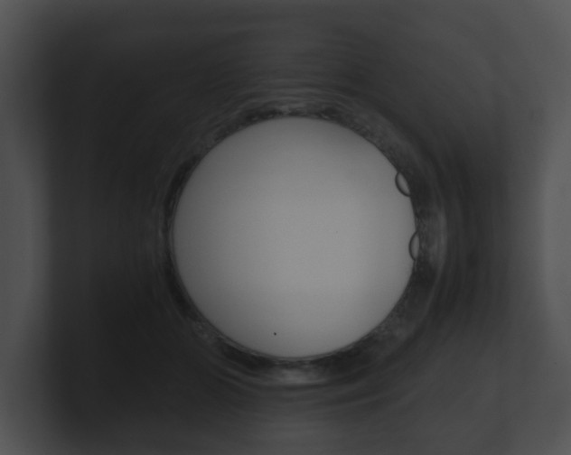 X0000100900510200806241033
