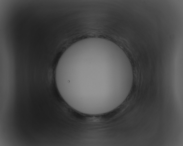 X0000100900511200806241033
