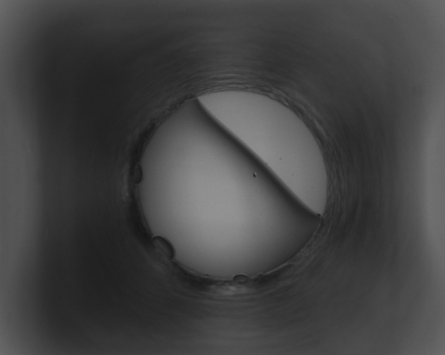 X0000100900512200806241033