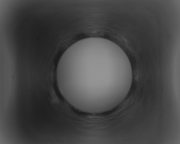 X0000100900515200806241033