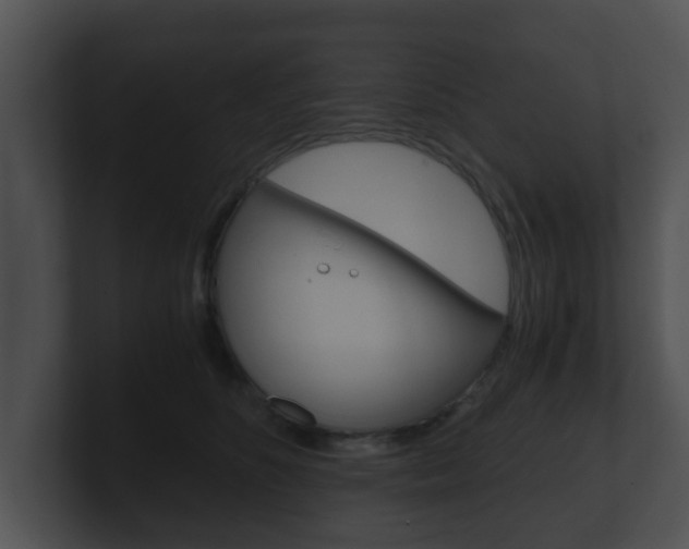 X0000100900516200806241033