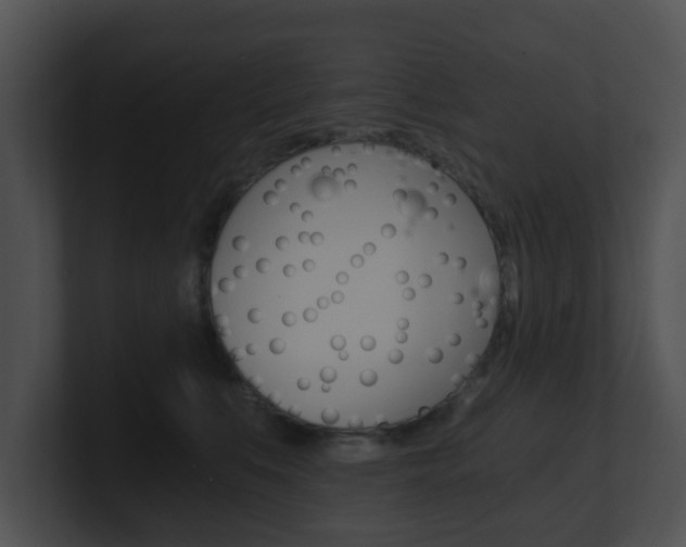 X0000100900519200806241033