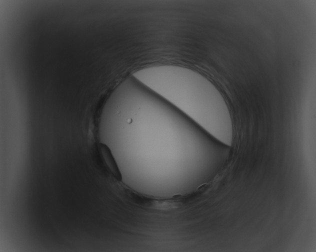 X0000100900520200806241033
