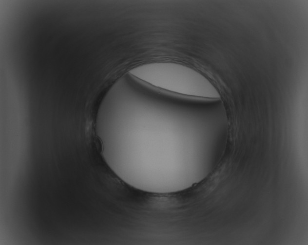 X0000100900521200806241033