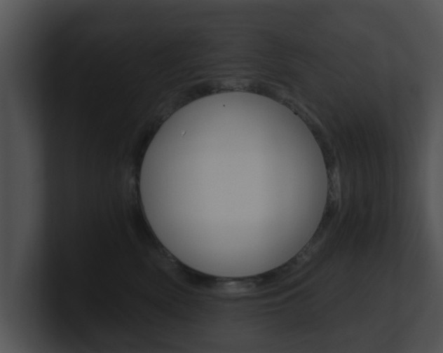 X0000100900522200806241033