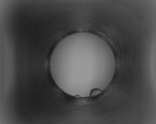 X0000100900523200806241033