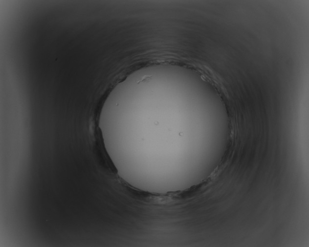 X0000100900524200806241033