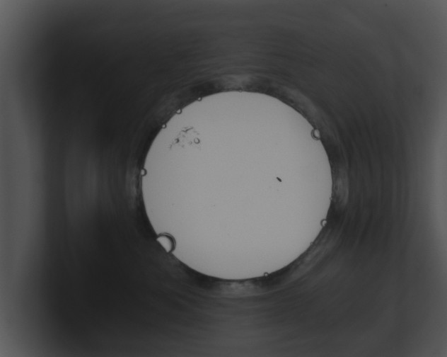 X0000100900525200806241033