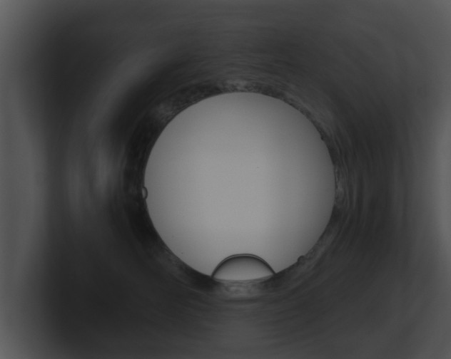 X0000100900526200806241033