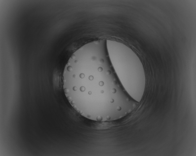 X0000100900527200806241033