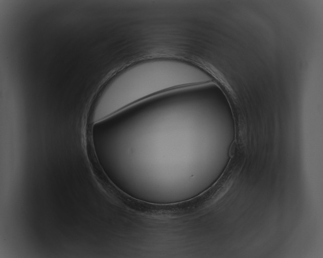 X0000100900530200806241032