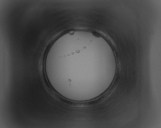 X0000100900533200806241032