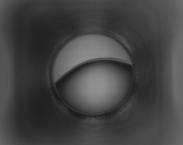 X0000100900538200806241032