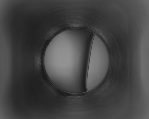 X0000100900539200806241032