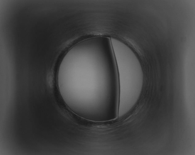 X0000100900540200806241032