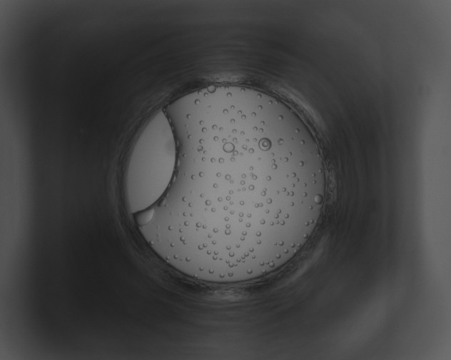 X0000100900541200806241032