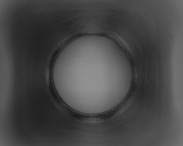 X0000100900542200806241032