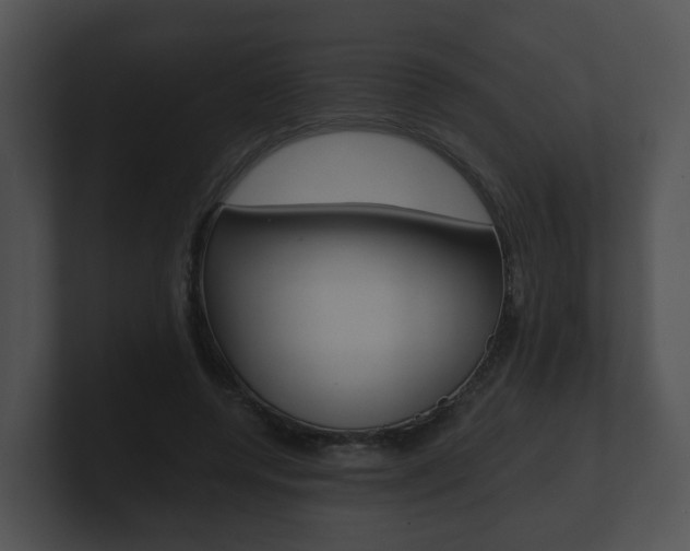X0000100900544200806241032