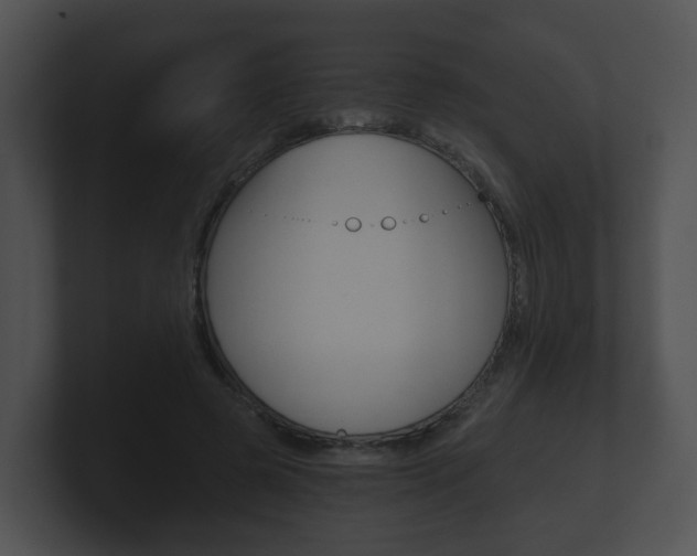 X0000100900545200806241032