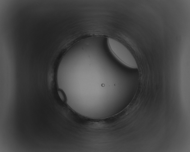 X0000100900548200806241032