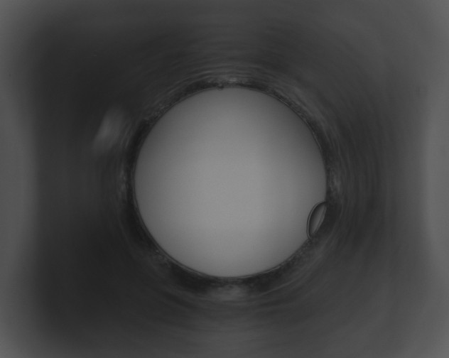 X0000100900551200806241033