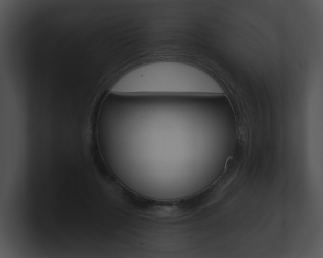 X0000100900552200806241033