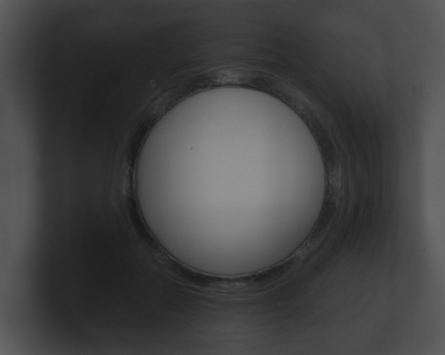 X0000100900554200806241033
