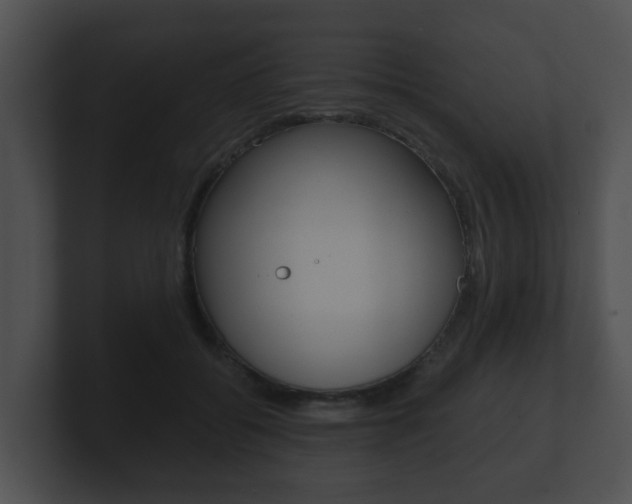 X0000100900556200806241033