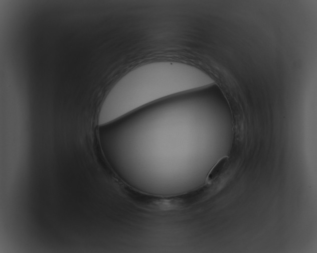 X0000100900558200806241033