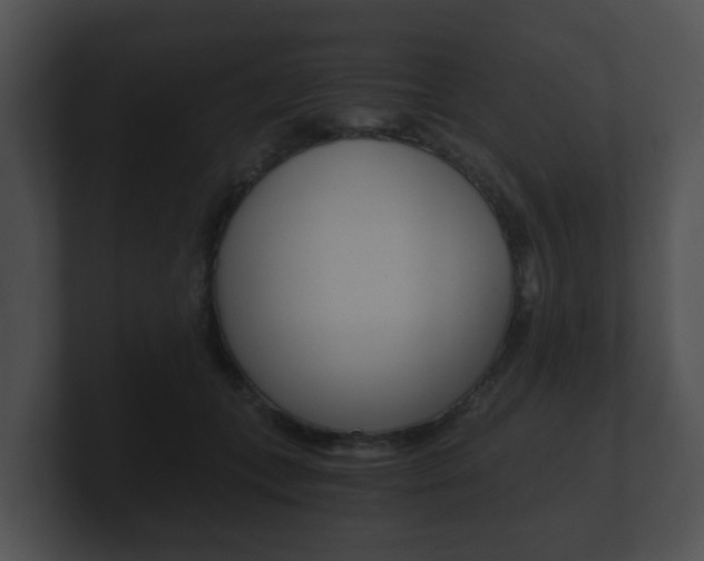 X0000100900559200806241033