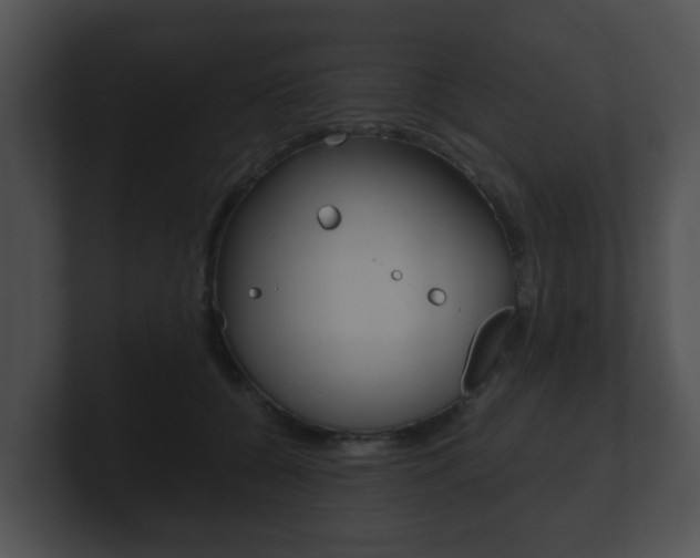 X0000100900560200806241033
