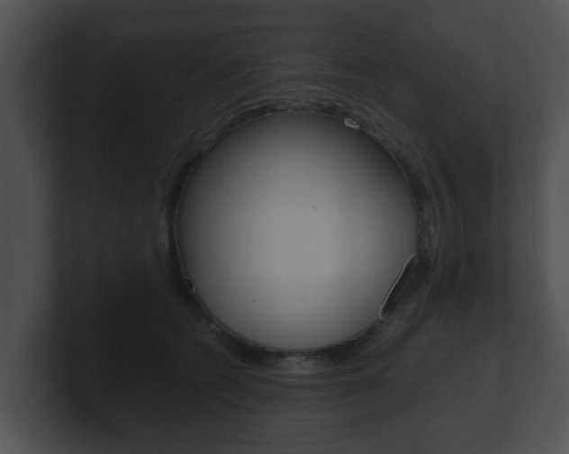 X0000100900562200806241033