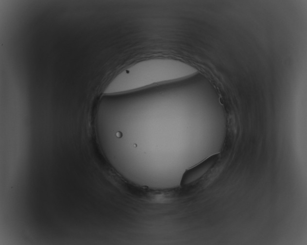 X0000100900564200806241033