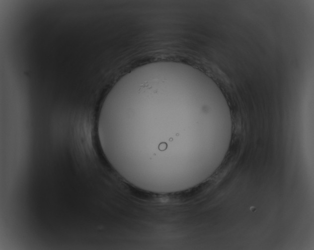 X0000100900565200806241033