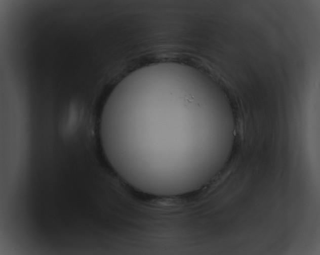 X0000100900567200806241033
