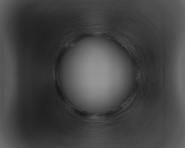 X0000100900568200806241033